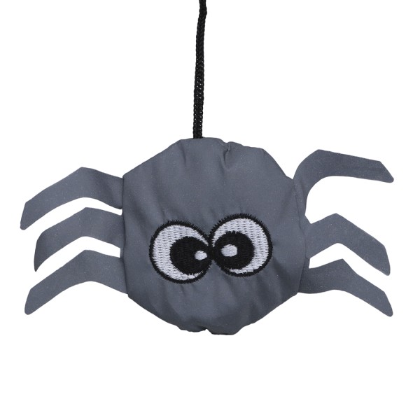 Susi Spinne