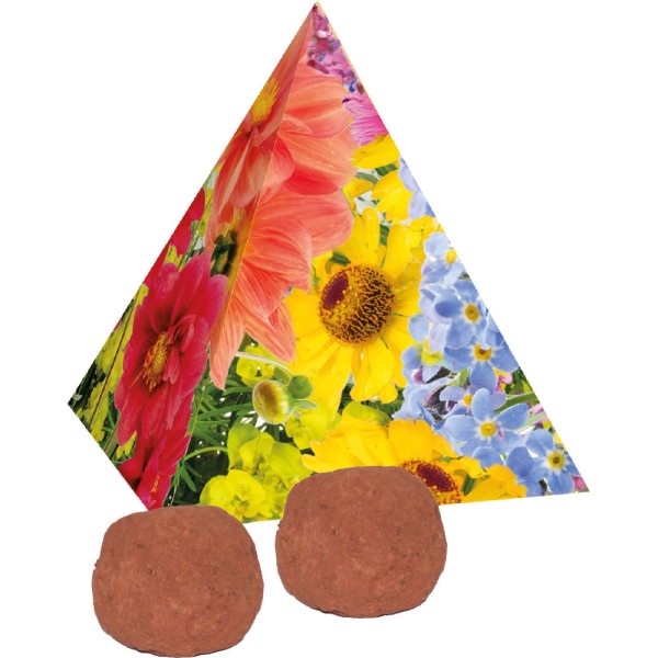 Pyramide Spitzenwachstum