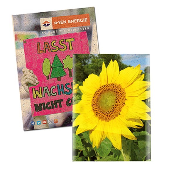 Samentütchen Graspapier Klein