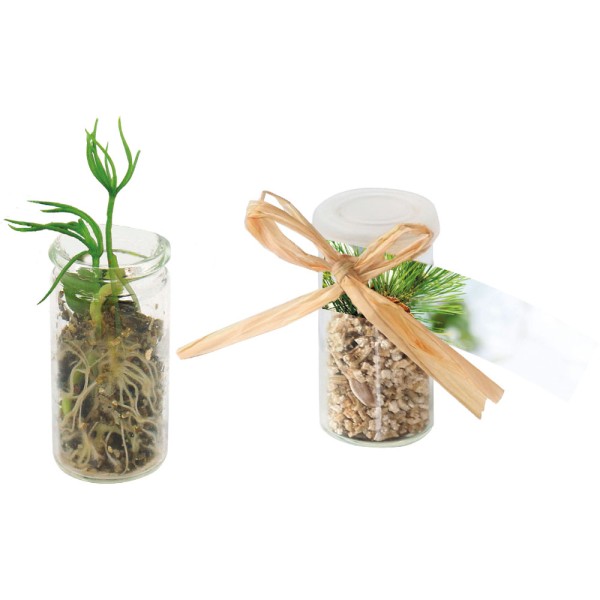 Mini Glasshouse Weihnachtsbaum