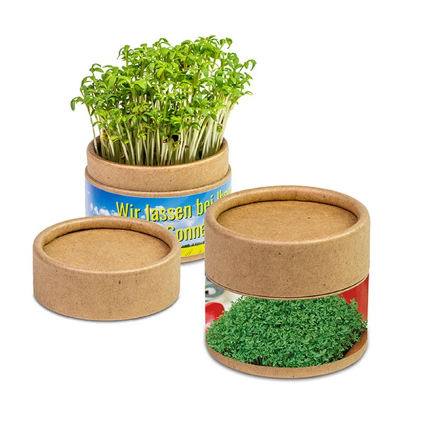 Pflanz-Cup Gartenkresse
