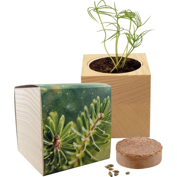 Großer Natur-Würfel Fichte