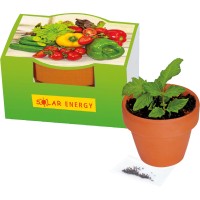 Naschgemüse-Töpfchen Paprika Naschgemüse-Töpfchen Paprika