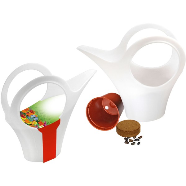 Camilla XS Buntes Wachstum