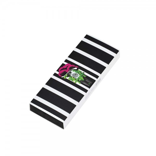 WRITE & HIGHLIGHT SET CI Etui