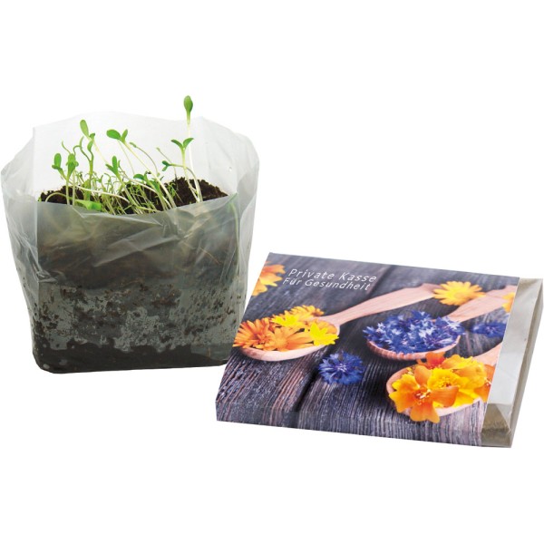 Wachstum im Quadrat Blütengenuss